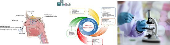 Ideenfrühstück_Nose2Brain_Foto_Bio2Brain_Hochschule_Biberach.png