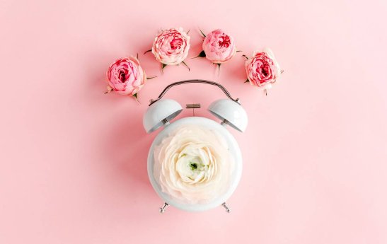 2026-02-shutterstock_1327632950_bildnachweis_k-decor.jpg