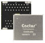 Cactus SD Chip.png