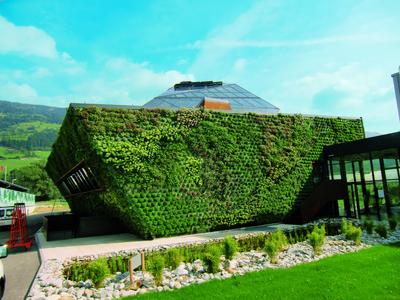 Blickfang und Ökologie in einem – der Fassadengarten von Optigrün / Foto: Optigrün