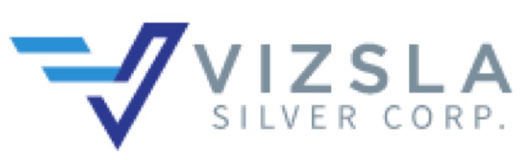 Vizsla Silver Logo.png