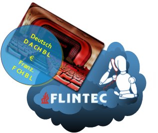 Flintec-Wolke-Services-Sprachen.png