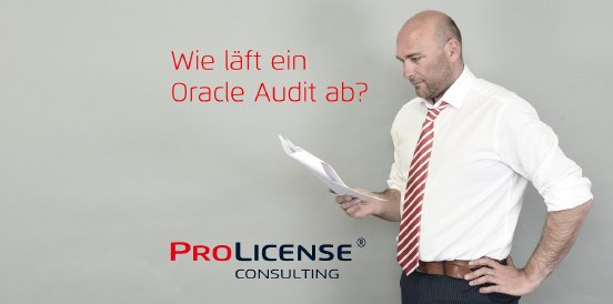 Wie läuft ein Oracle Audit ab.jpg
