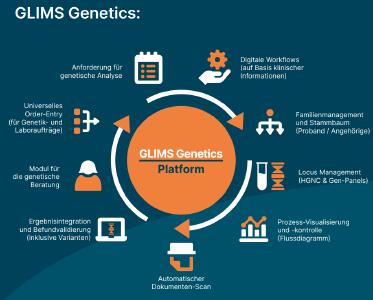 Workflow GLIMS Genetics Chart
