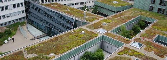 Optigrün Akademie: Retentionsdächer