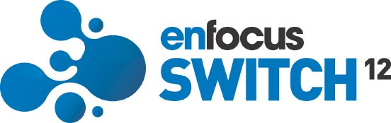 ENF_switch2_cs6.jpg
