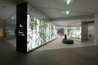 The Forest Zone: A ten-metres long two-sided LED wall visualizes changing lively perspectives of a Korean mountain forest / copyright: D’art Design Seoul Ltd.