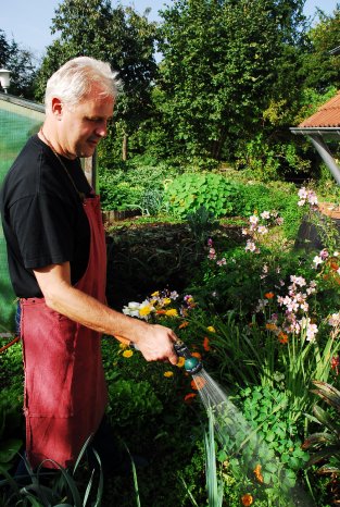 REGENWASSER GARTEN.jpg