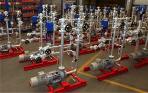 Another large plant for China successfully delivered