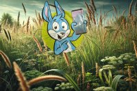 Pollenflug-Apps 2025: Die besten digitalen Helfer durch die Heuschnupfen-Zeit