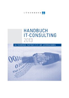 LUE_TS IT Consulting 2013_040213.pdf