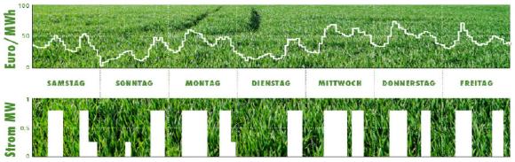 Titelgrafik FlexBiogas.jpg