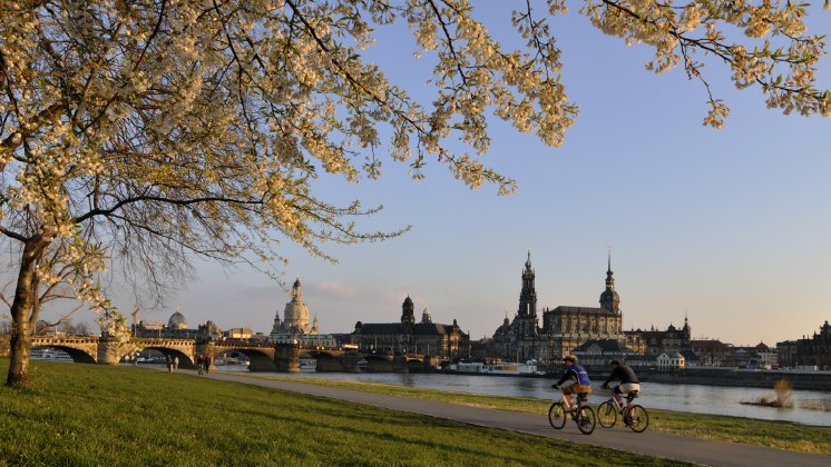 Dresdner Allergiesymposium_2-9faefea9.png