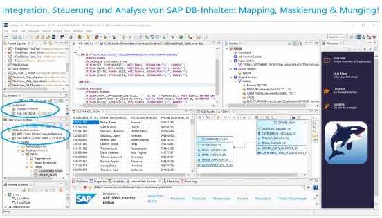 Integration, Steuerung und Analyse von SAP DB-Inhalten.png