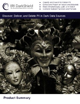 IRI DarkShield für Datenmaskierung von Dark Data.pdf