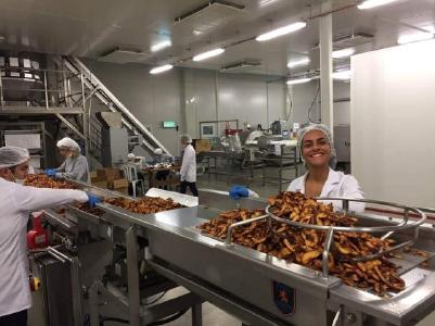 ENW-Produktion