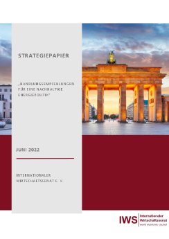 IWS-Strategiepapier-Forderungen Energiewirtschaft Deutschland 2022.pdf