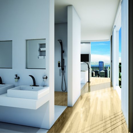 3 GROHE Ondus Concept Bath.jpg